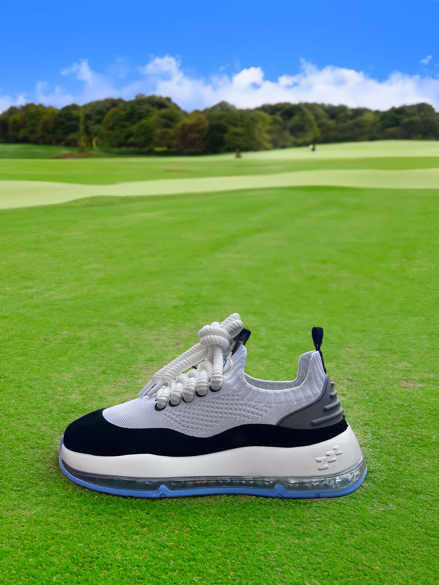 Image of shoe at the golf course