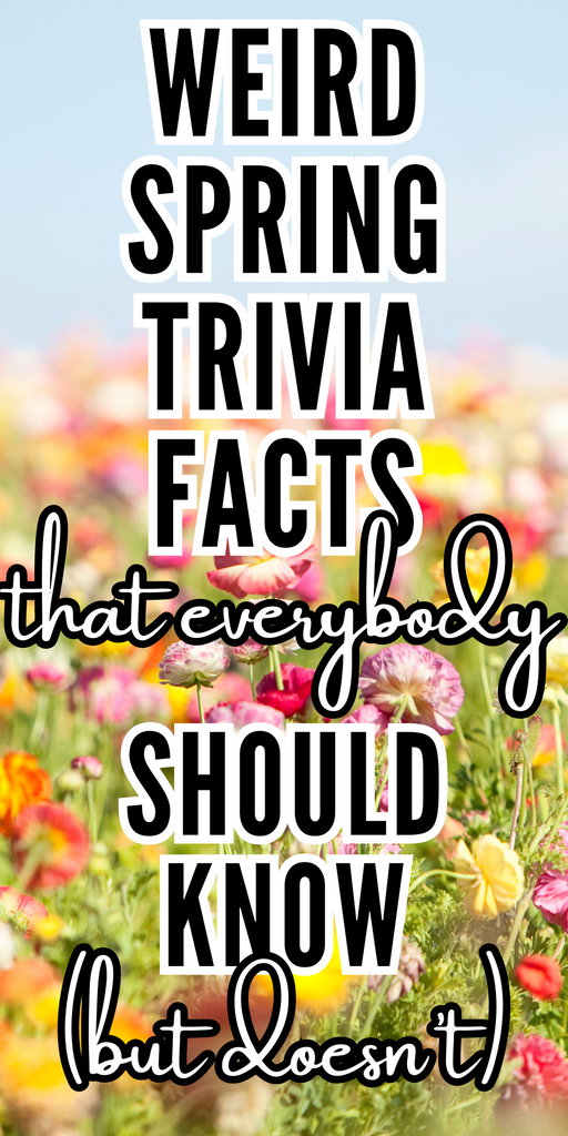 spring trivia facts