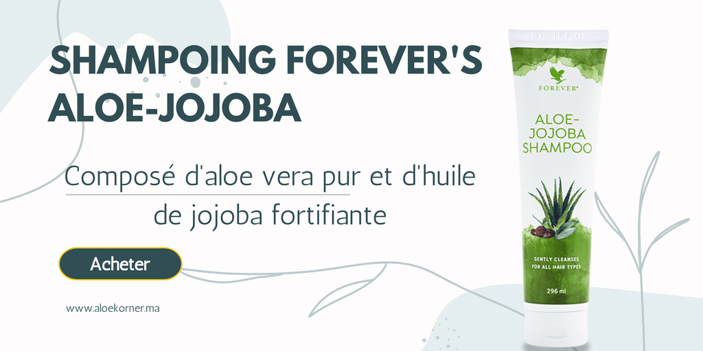 Aloe Jojoba Shampoo