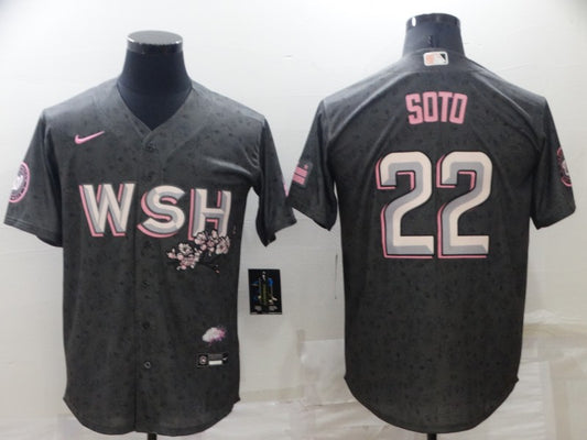 Men's Washington Nationals Juan Soto Nike Gray 2022 City Connect Replica  Player Jersey