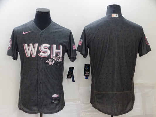 Washington Nationals: Uniforms, PMell2293