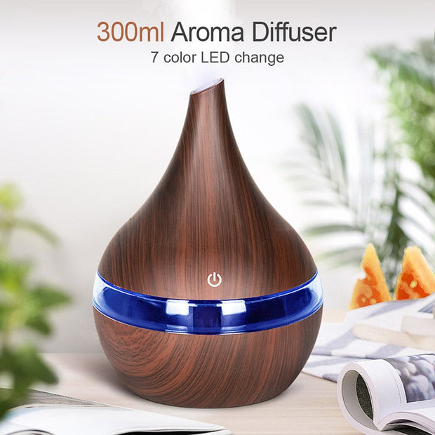 Aromatherapy Ultrasonic USB Air Humidifier - Modern Homeesntl