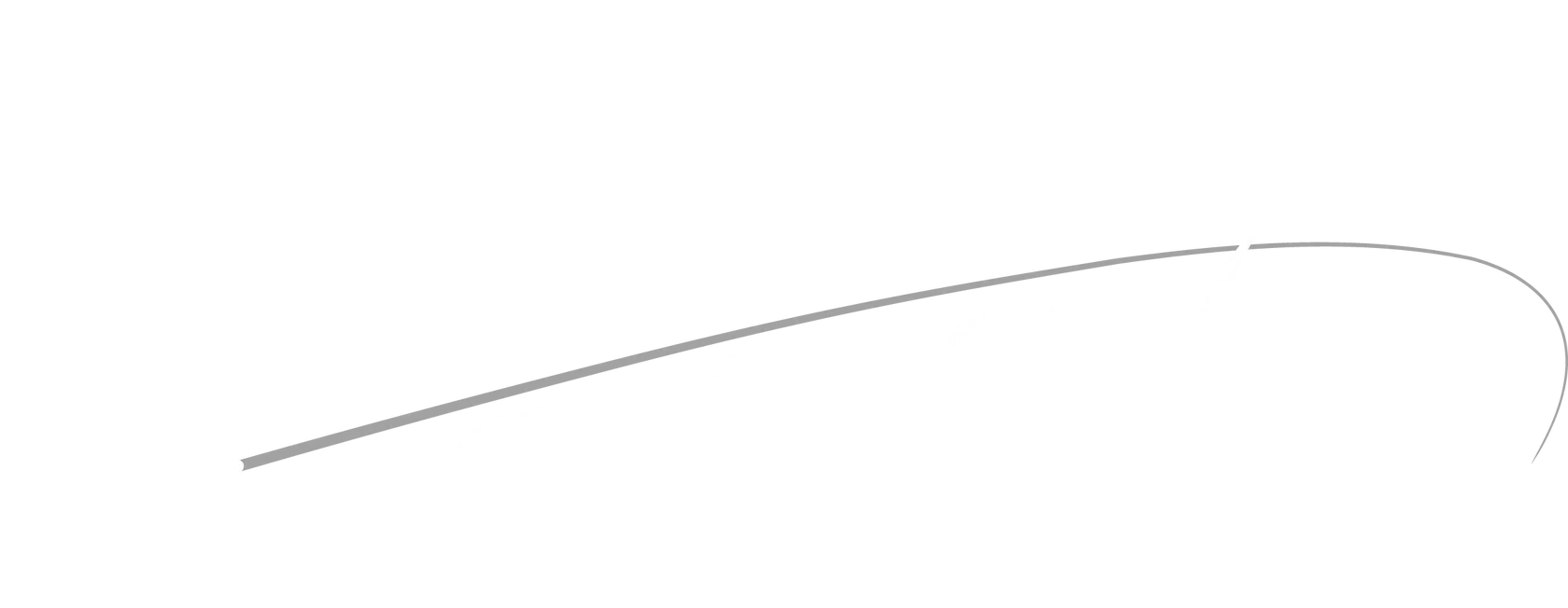 Fish On! Custom Rods