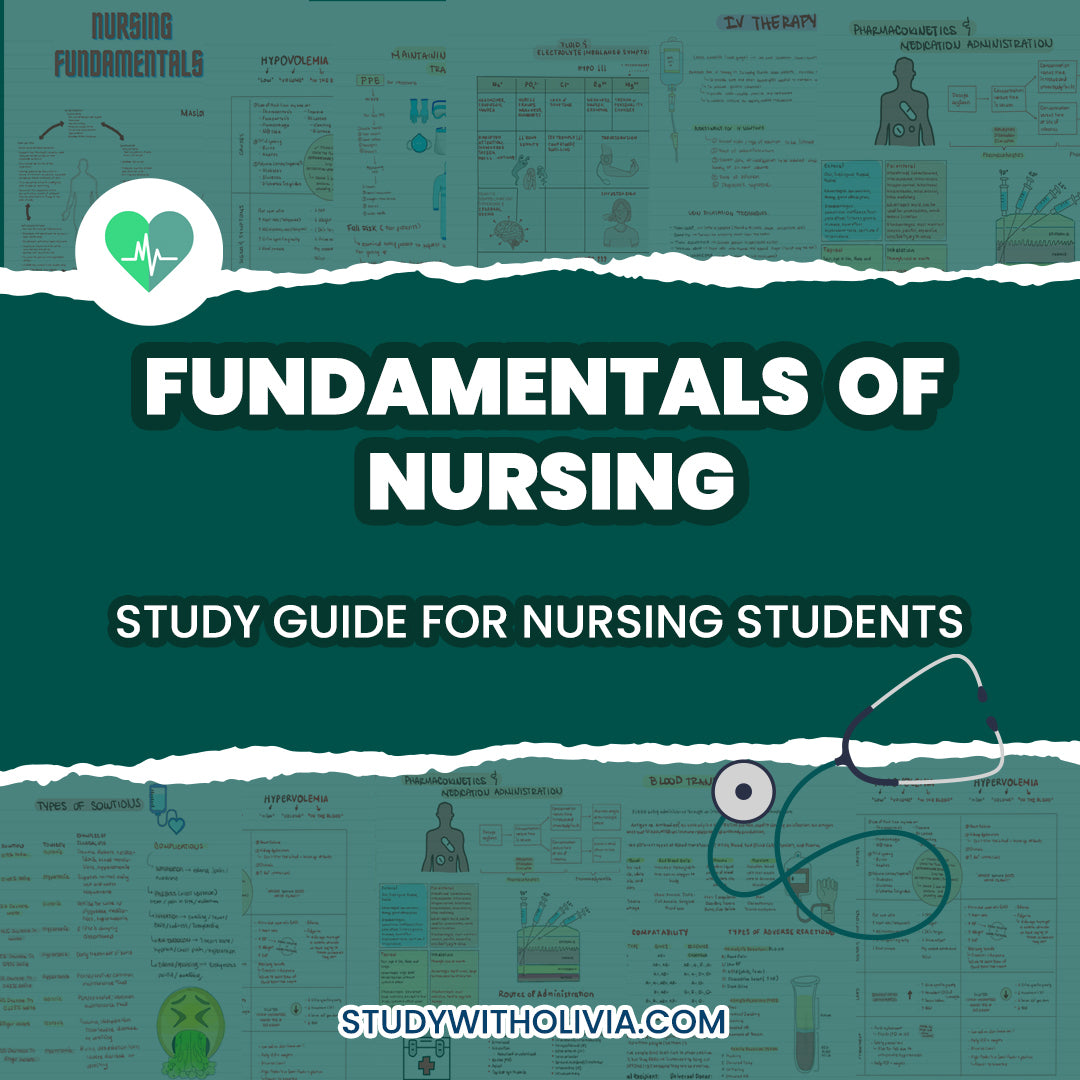 Nursing Fundamentals Bundle - Study Guide Notes for Nursing Students - Study With Olivia product image