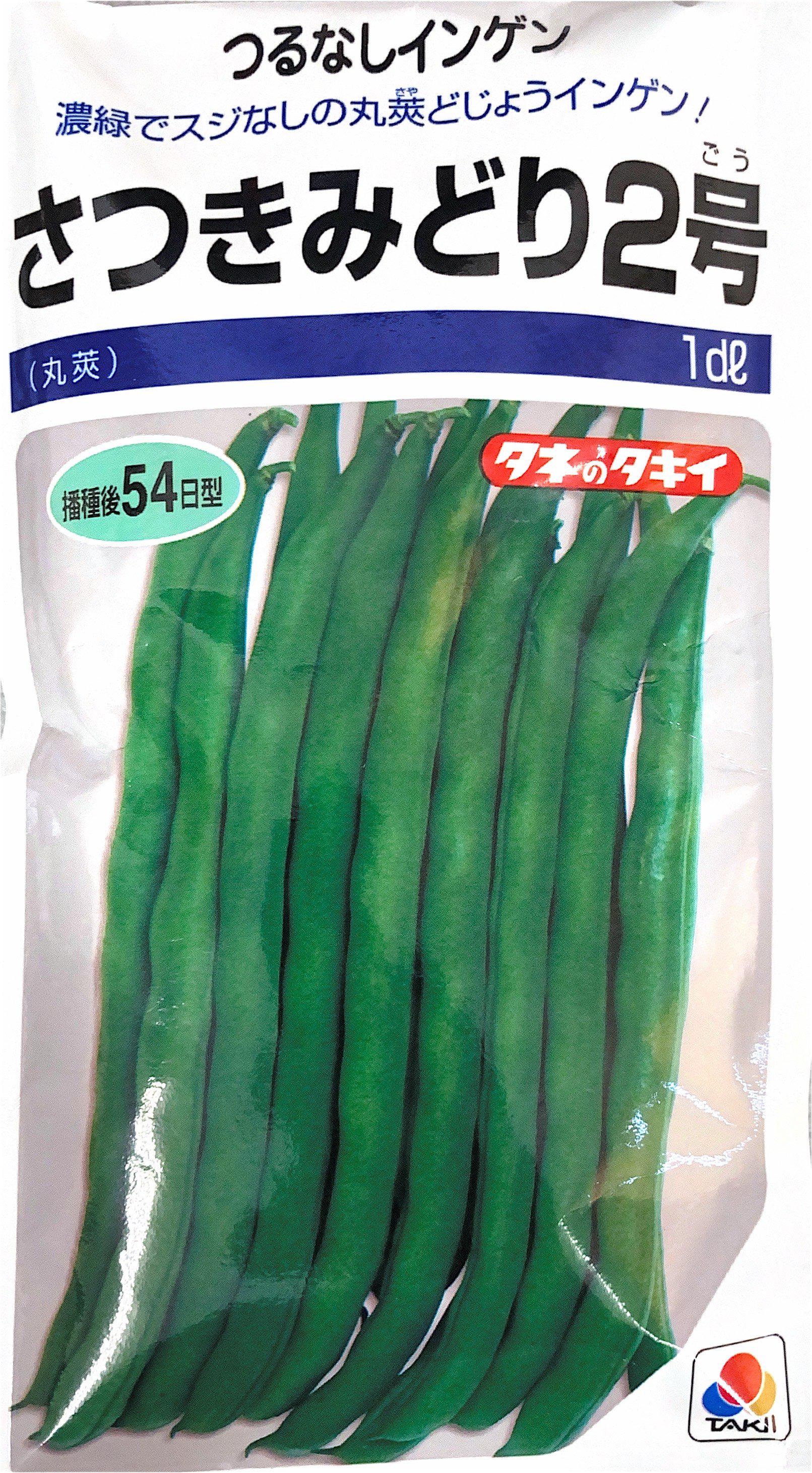 当店の記念日 つるなしインゲン豆の種 野菜の種 初みどり2