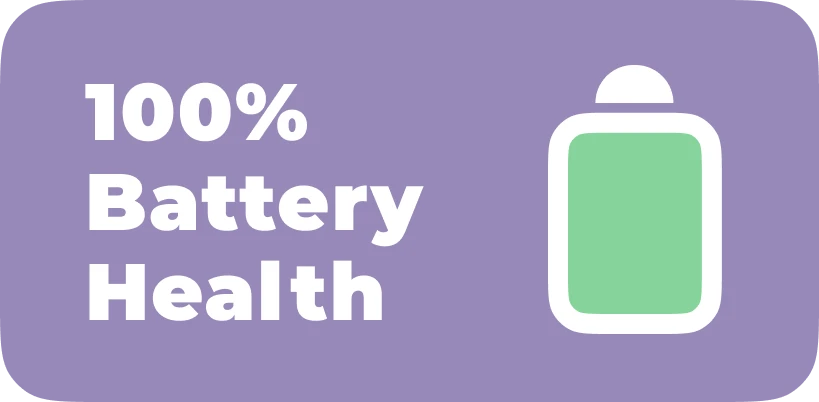 100% battery health
