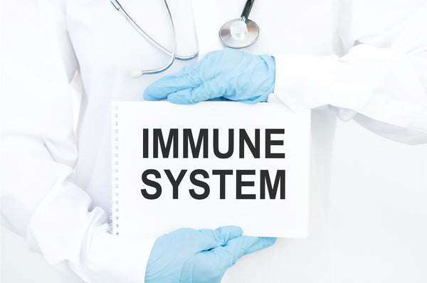 systeme immunitaire thymoquinone