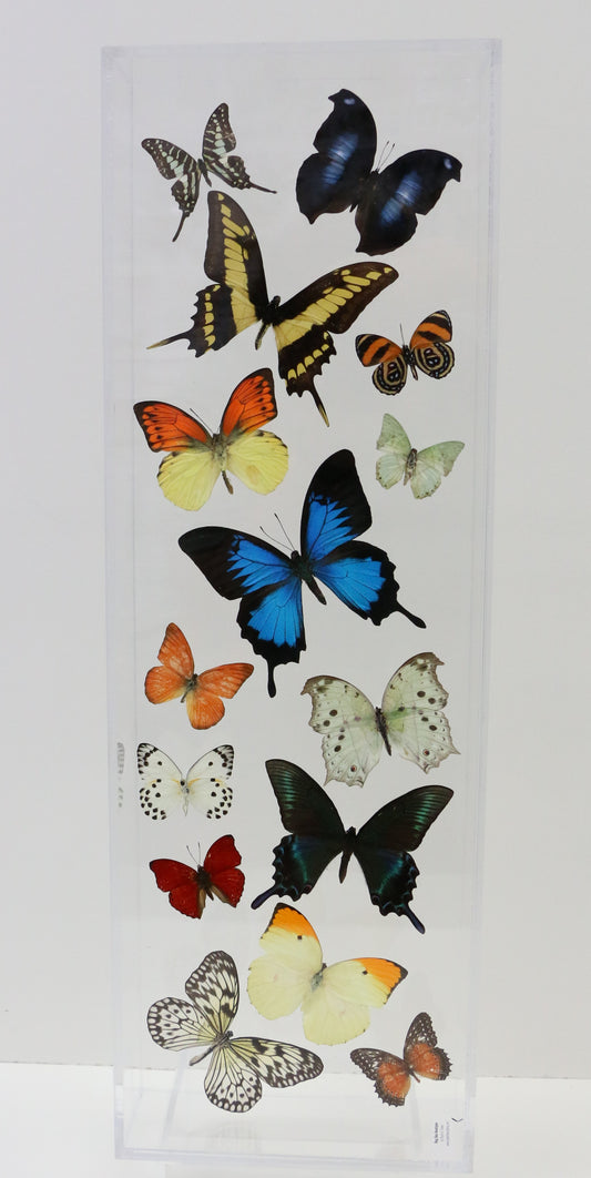 3D Butterflies – Stitchbox Creations