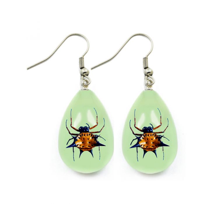 Real Green Beetle Earrings | Moonrise Kingdom | The Society Of The Crossed  Keys