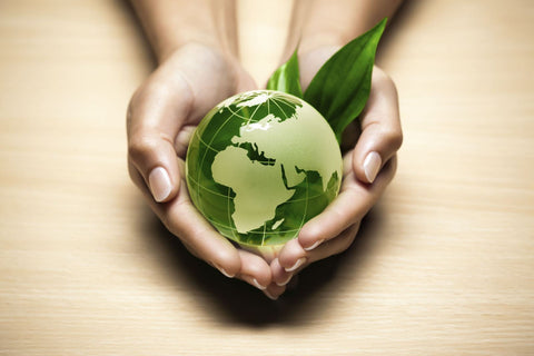Cadeia produtiva sustentável gera um mundo verde