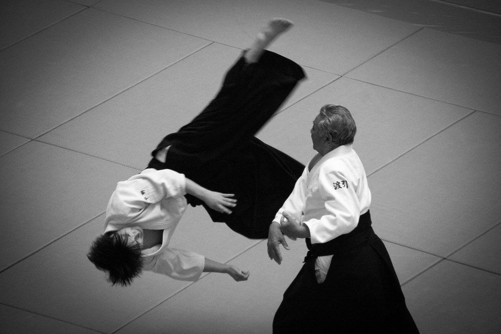 El Aikido o el Arte de Adaptase