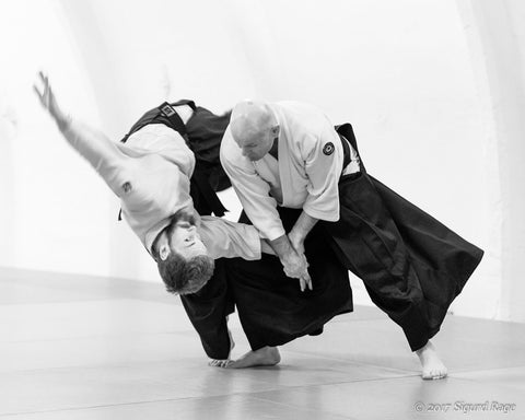 El Aikido o el Arte de Adaptase