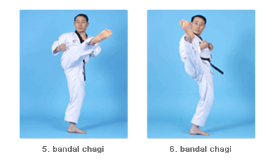 Bandal Chagi 