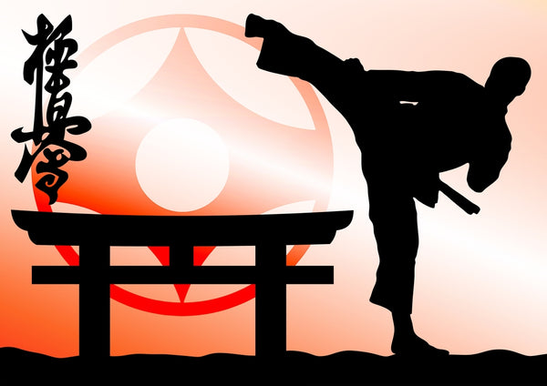 KARATE: ¿CUAL ES EL MEJOR ESTILO PARA TI?