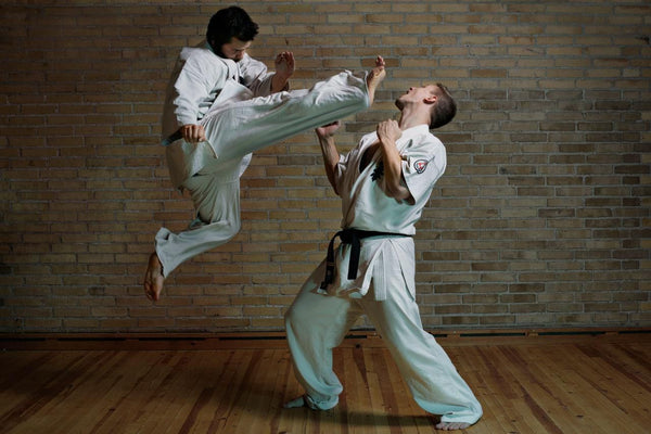 los 5 estlos de karate