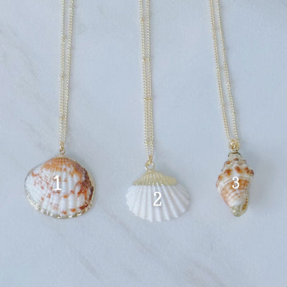 Gold seashell necklaces