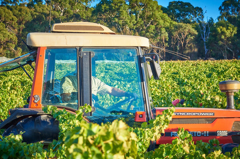 Brini Estate Wines - 2023 Harvest on the tractor