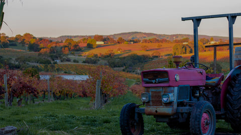 Brini Wines Tractor on the vineyard