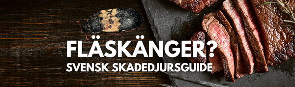 Mörk träbakgrund med en uppskivad köttbit till höger och en fläskänger som kryper bredvid samt vit text "FLÄSKÄNGER - Svensk skadedjursguide"