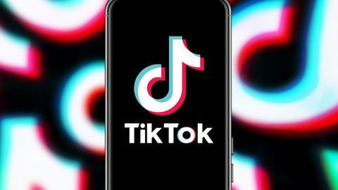 The most followed TikTok