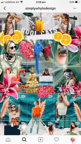 feed de Instagram en collage