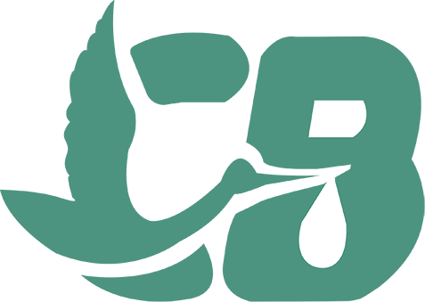 Logo Cuibul Berzelor