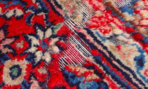 Protect your Oriental Rugs from a Moth Infestation