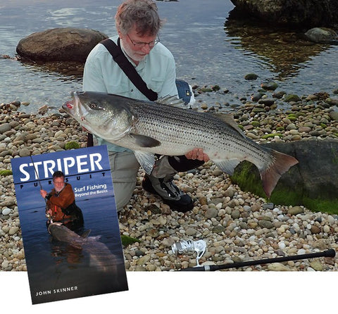 The Allure of the Shore for NE Striped Bass