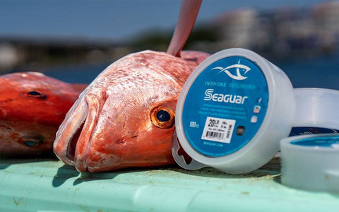 Seaguar Inshore