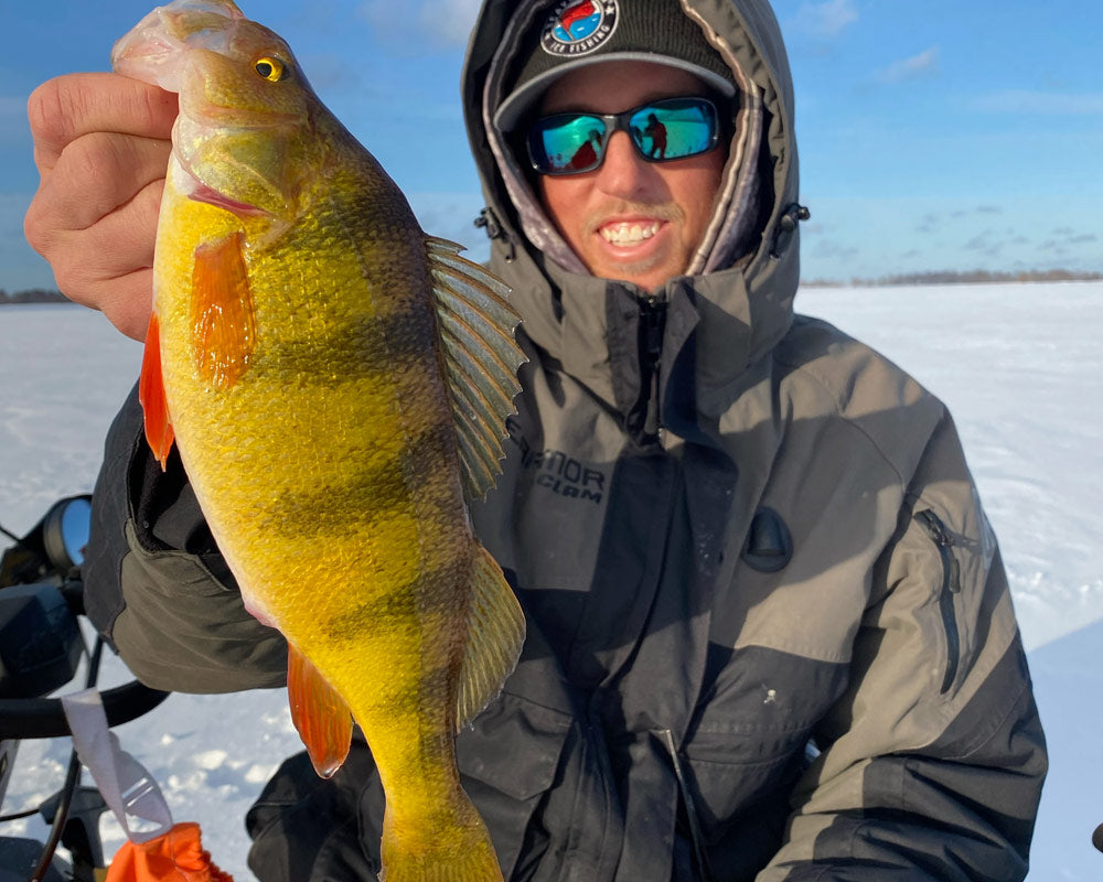 Don't ask me why, but this grasshopper on a wonderbread jig got 50+ Perch  this weekend : r/IceFishing