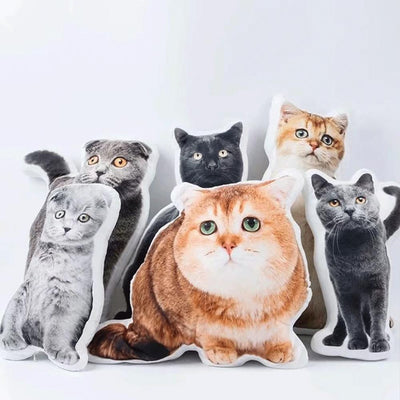 Turn Your Pet into A Pillow, Custom Pet Pillows, Pet Pillow Custom