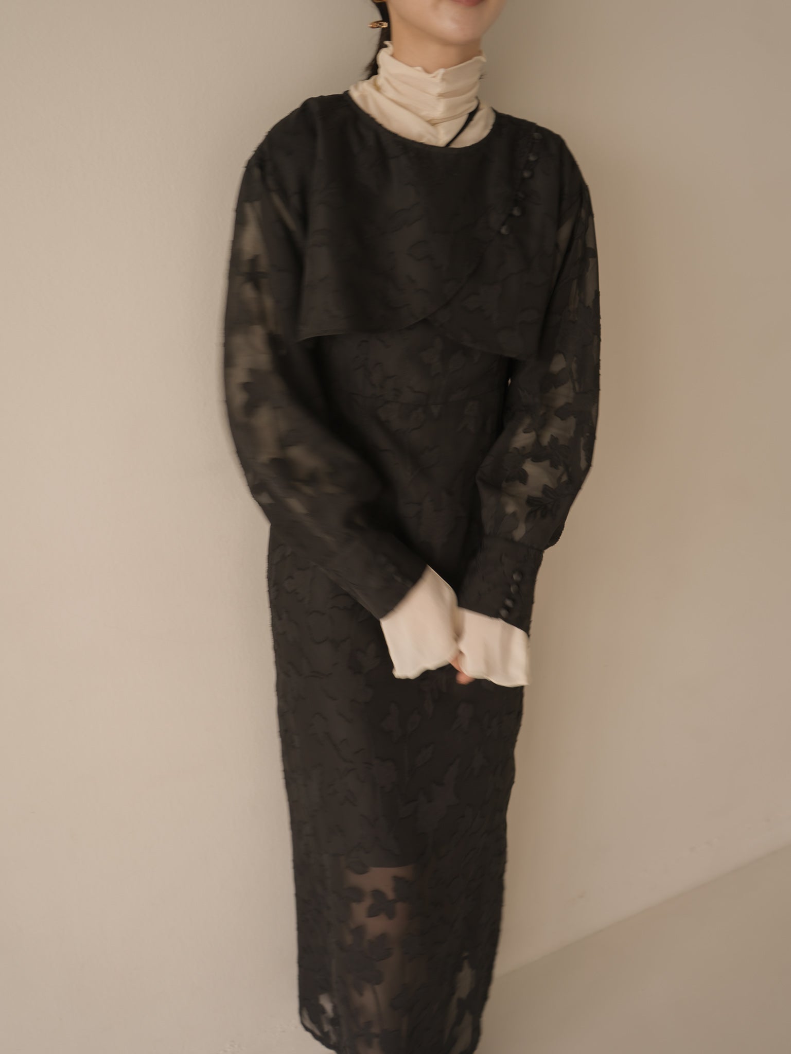 枚数限定 【Eaphi】leaf jacquard sheer dress - 通販 - zumayaverde.com