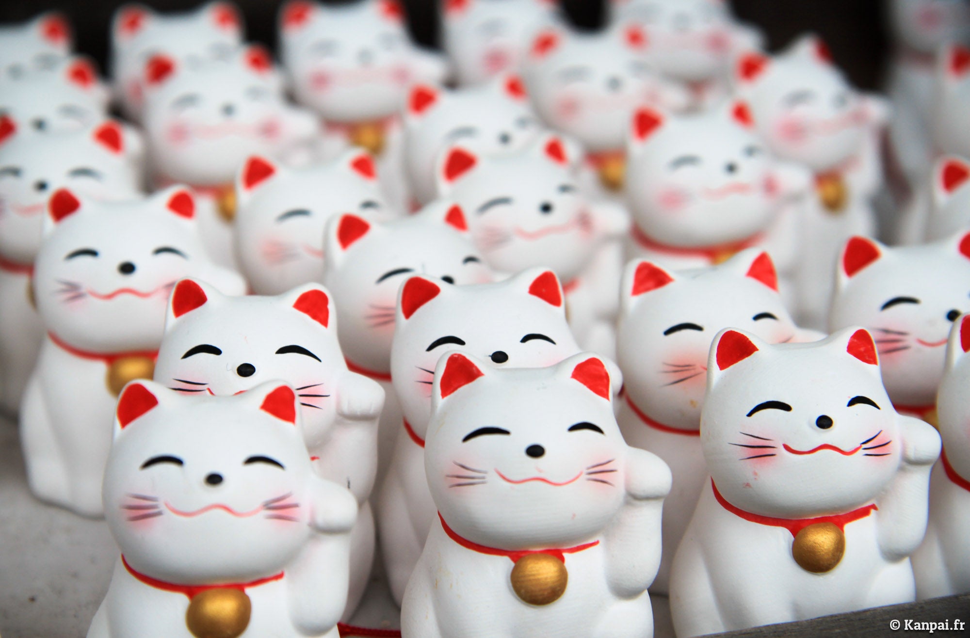 maneki neko kawaii 