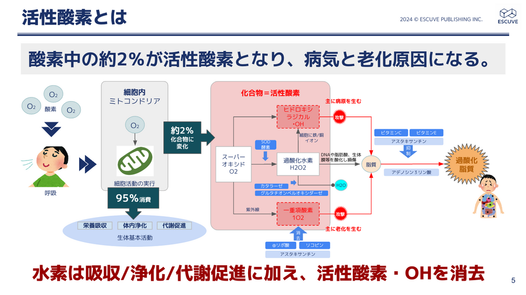 活性酸素とは？