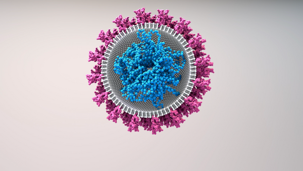 Bild einer Viruszelle