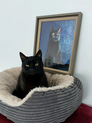 Creative Pet Portrait - LUSEONS