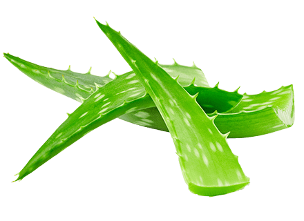 ORGANIC ALOE VERA LEAF JUICE EXTRACT 