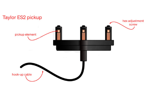 Pickup ES-2 của guitar Taylor