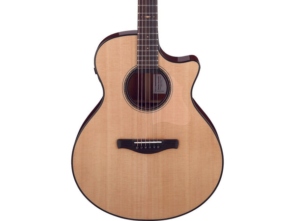 Đàn Guitar Acoustic Platinum Collection Ibanez AE410-LGS