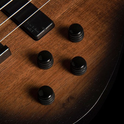 Đàn Guitar Bass 4-dây Cort B4FL MHPZ bao gồm bộ điều khiển 2 âm lượng và 2 âm sắc