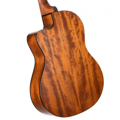 Đàn Guitar Acoustic Cort Jade1 có mặt bên và sau gỗ mahogany