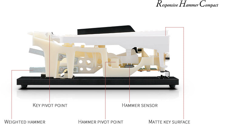 Bộ cơ bàn phím Responsive Hammer Compact (RHC) mới đã được phát triển để tái tạo cảm giác đặc biệt của một cây đại dương cầm acoustic.