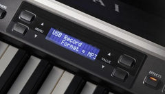 CN35 có thể ghi và phát tệp âm thanh kỹ thuật số bằng thiết bị bộ nhớ USB, ở định dạng MP3 hoặc WAV.