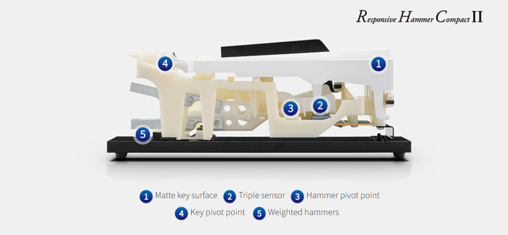 Bộ cơ bàn phím Responsive Hammer Compact II (RHCII) của KDP120 đã được phát triển để thể hiện cảm giác đặc biệt của một cây đại dương cầm acoustic