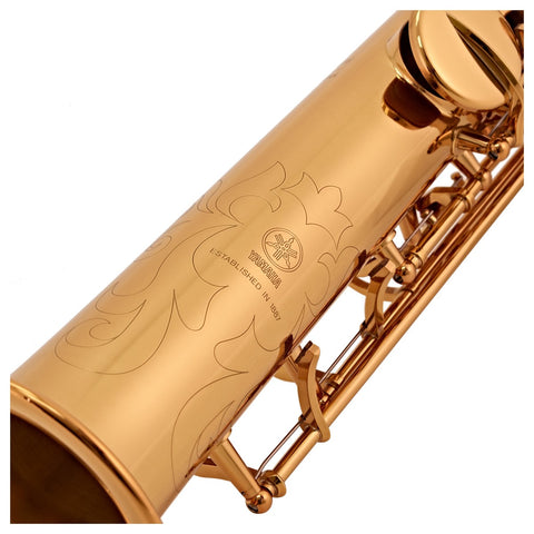 Một chiếc kèn saxophone tầm trung làm nổi bật cá tính của bạn