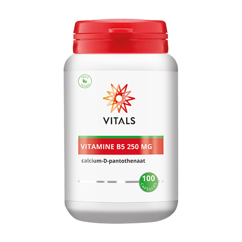 Vitals Vitaminer B5 250 mg pot