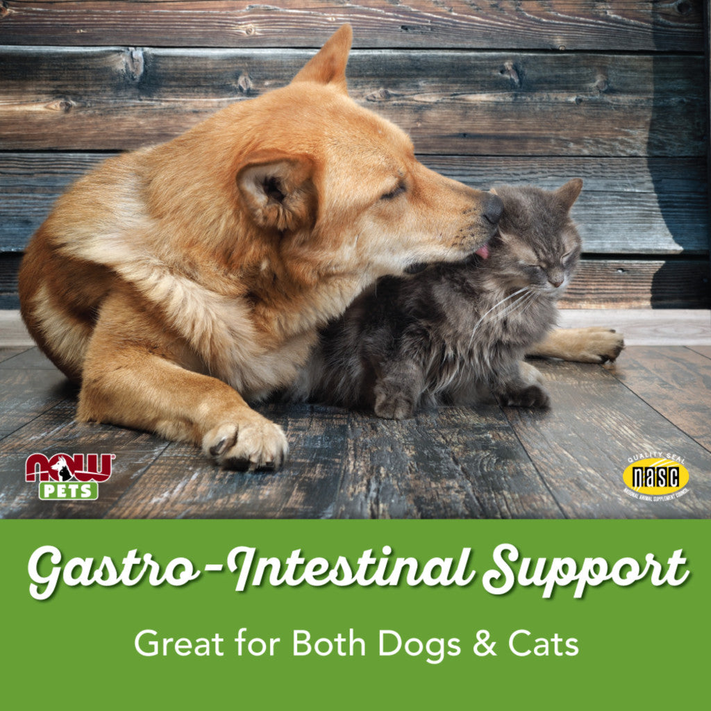 now pet health gi support 90 tabletter 8