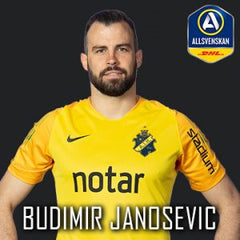 Budimir-Janosevic-300x300