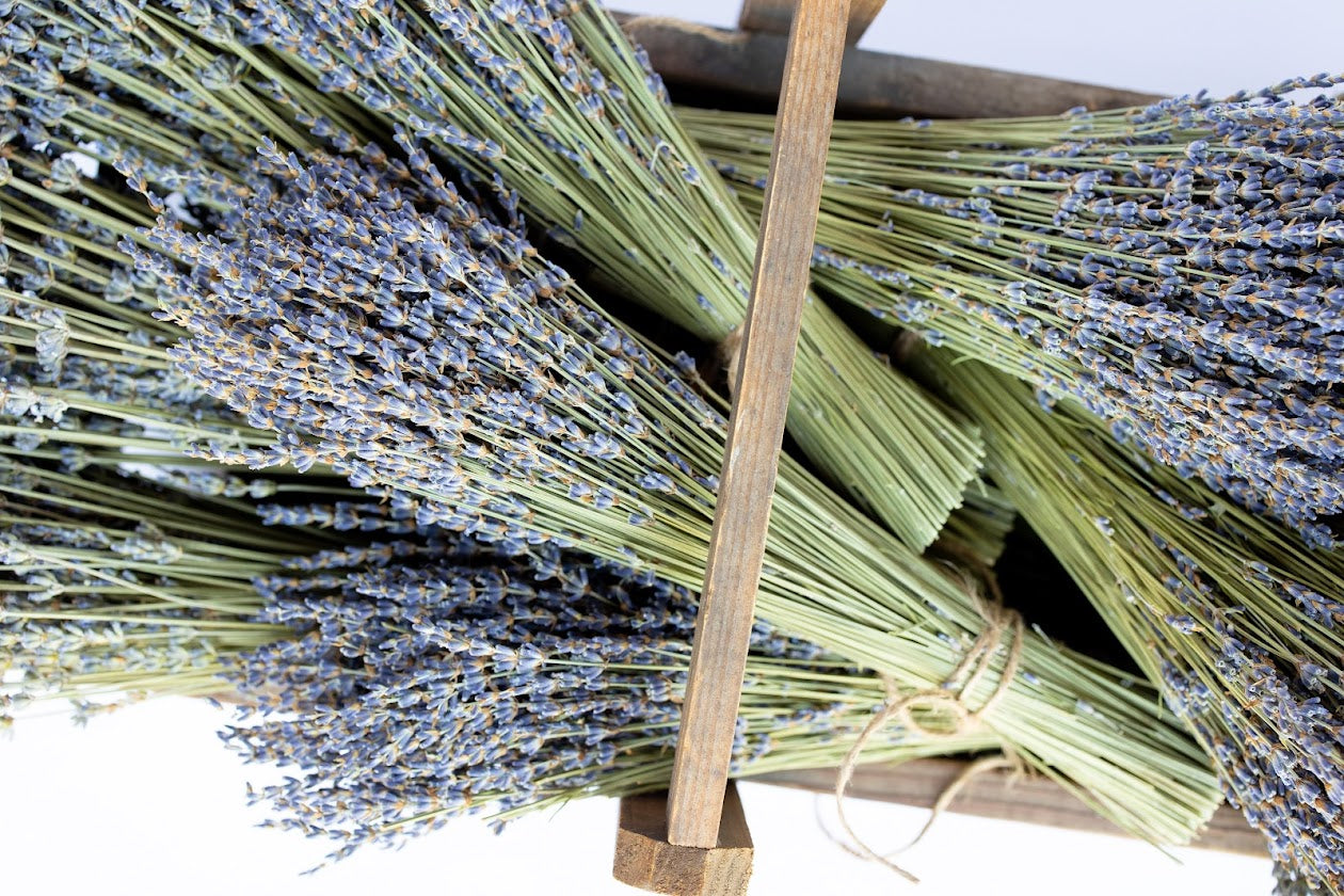 Dried Lavender Bundles