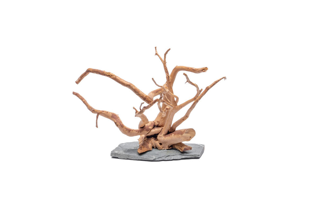 BLACK FOREST SPIDERWOOD SOLD BY PIECE – Nature Aquariums USA